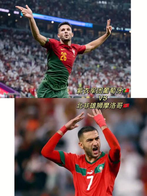 葡萄牙vs摩洛哥女解说的相关图片
